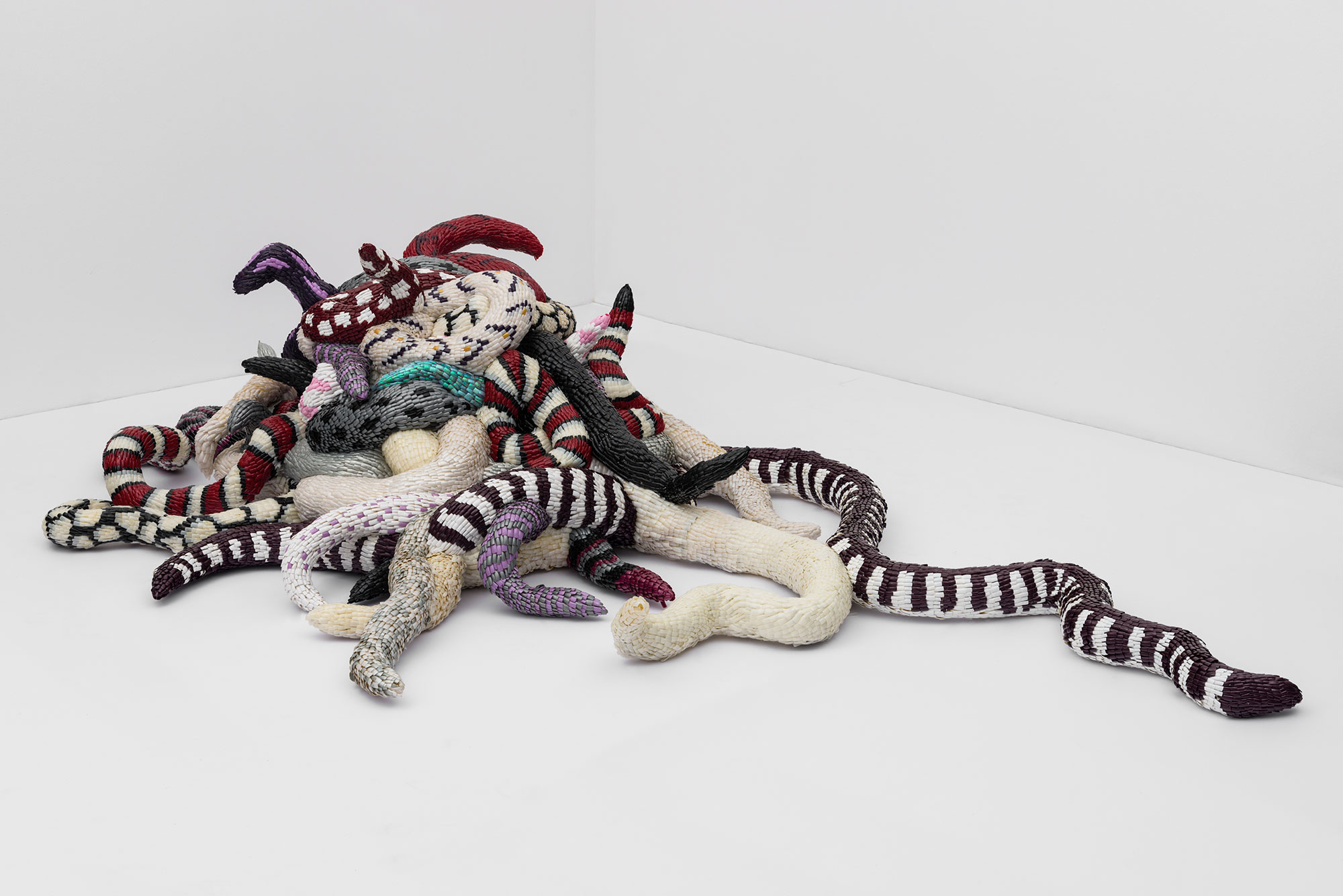 Lunchtime Tour: Francis Goodman’s Ophiophillia