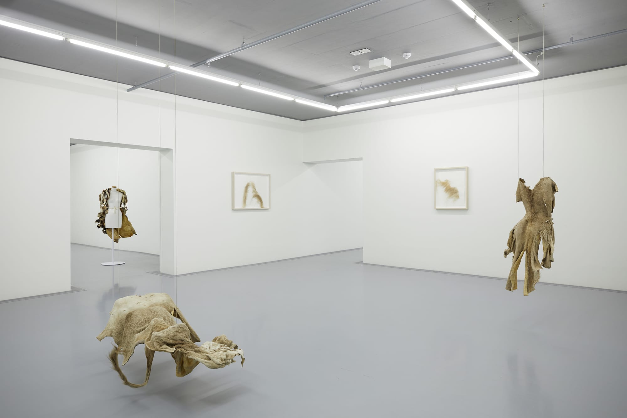 Museum Highlights Tour