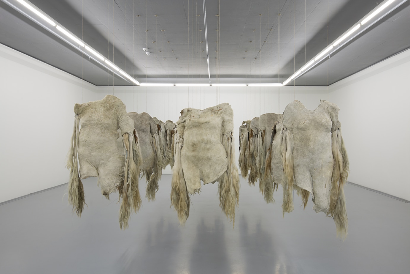 Zeitz MOCAA unveils its inaugural exhibitions