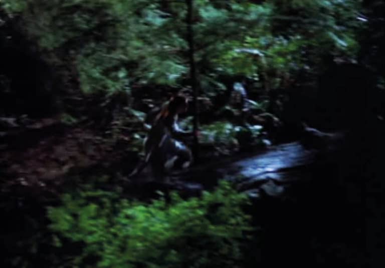 Emmanuel de Montbron