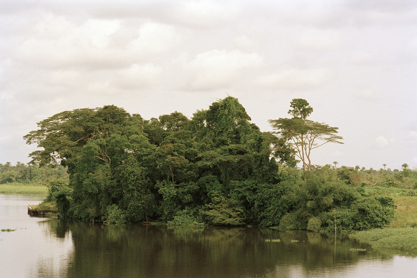 Otobong Nkanga