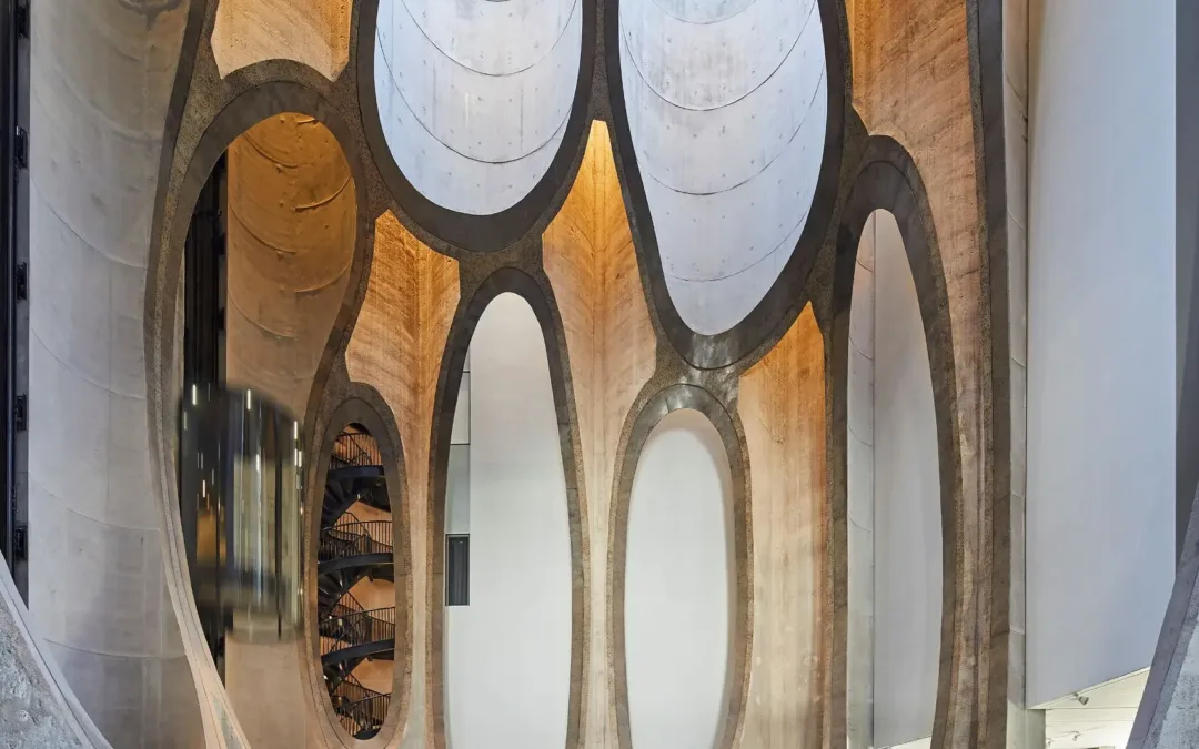 Re-opening 2020: Zeitz MOCAA Statement