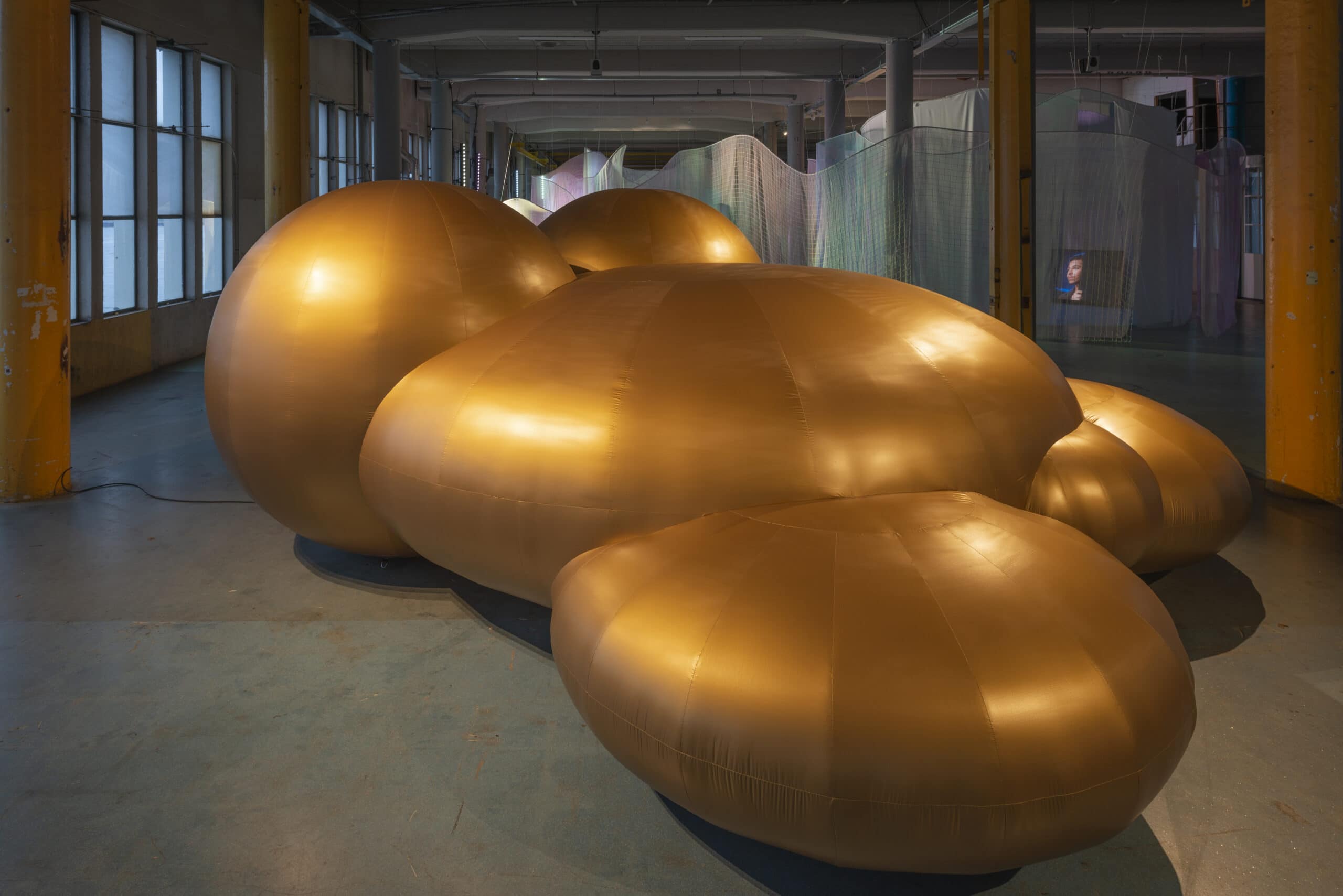 ZEITZ MOCAA OPENS TWO NEW EXHIBITIONS IN ONE WEEK Zeitz MOCAA