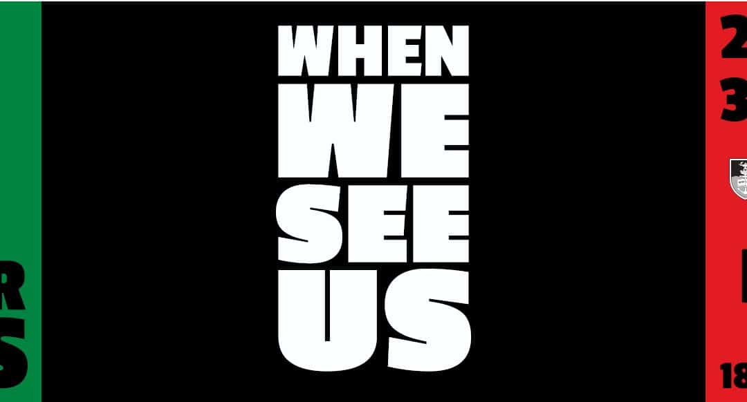 When We See Us Webinar Series