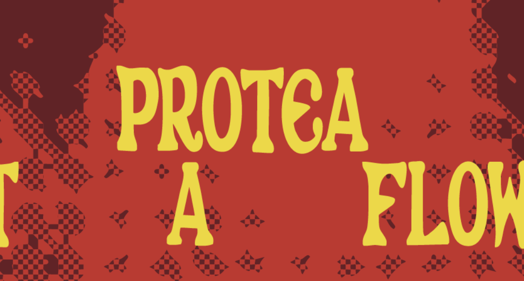 Zeitz MOCAA presents A Protea Is Not a Flower