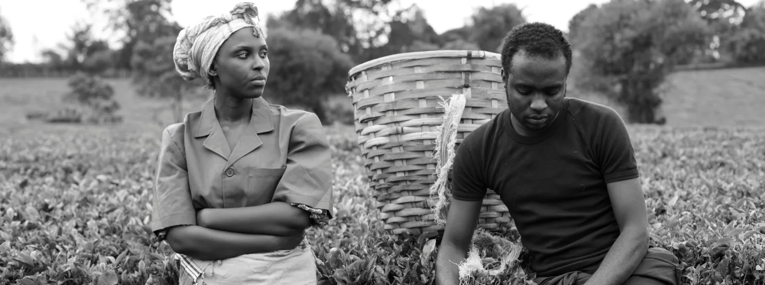 Web banner updated-Pan-African Cinema